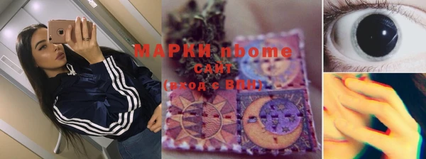 гашик Алексин