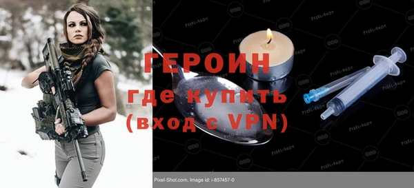 гашик Алексин