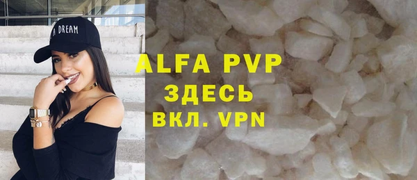 гашик Алексин