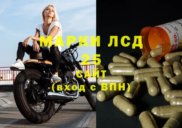гашик Алексин