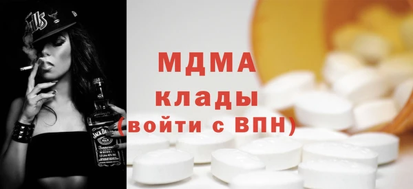 гашик Алексин