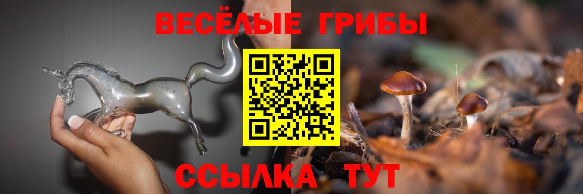 Галлюциногенные грибы Psilocybine cubensis  Вход с VPN  Туймазы  Псилоцибиновые грибы мухоморы 